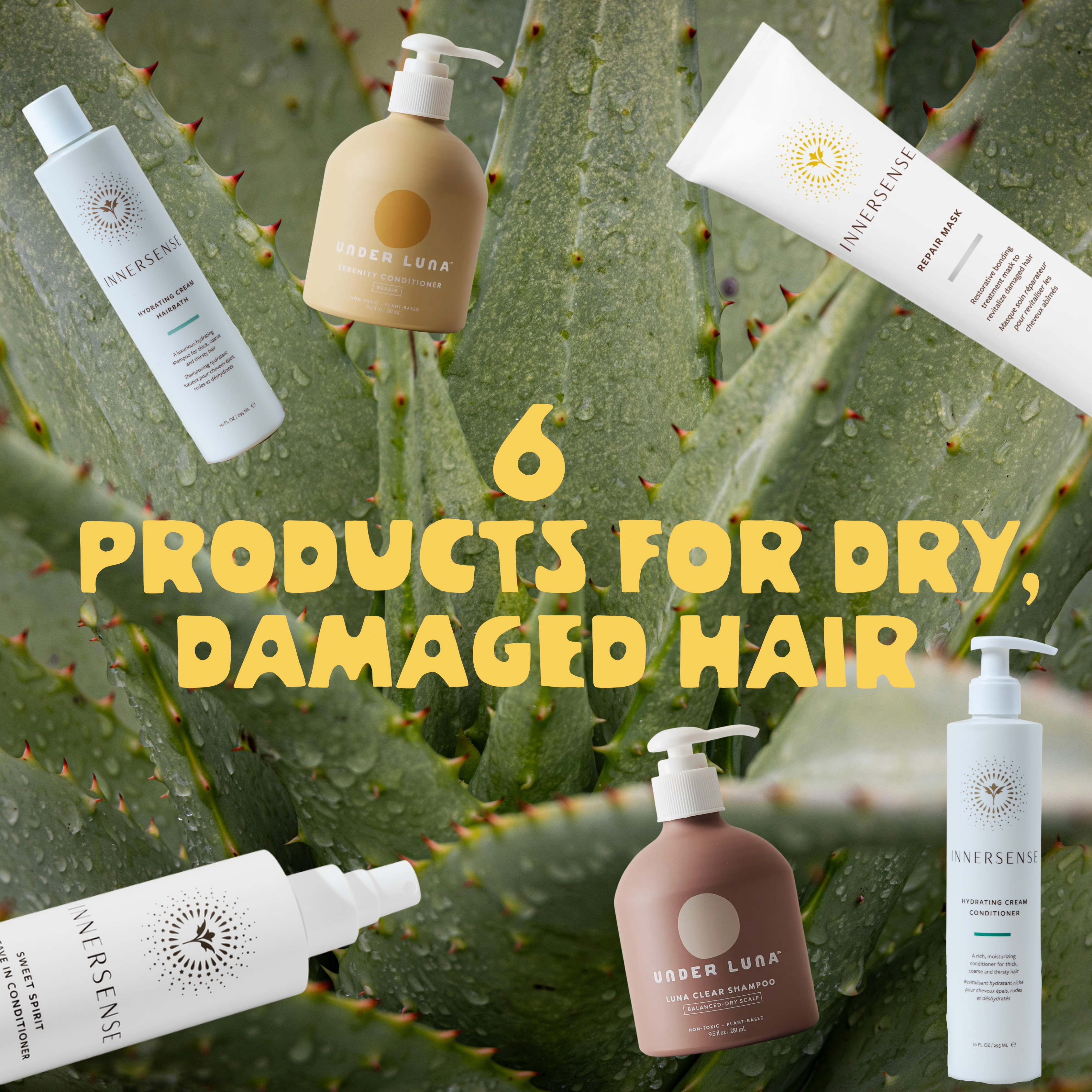 6 best products for dry, damaged hair
