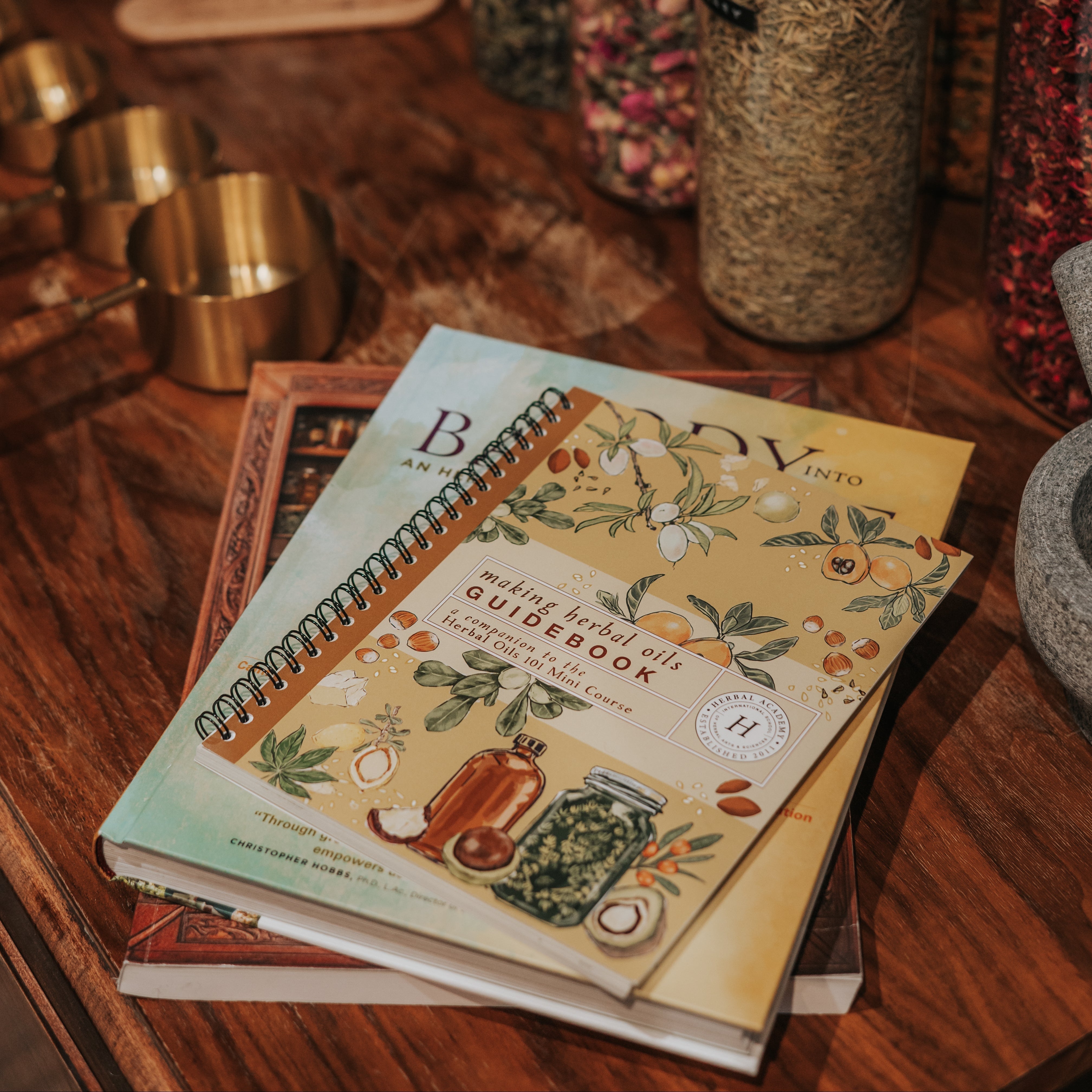The beginner's guide to herbalism books: my top picks as an herbalist