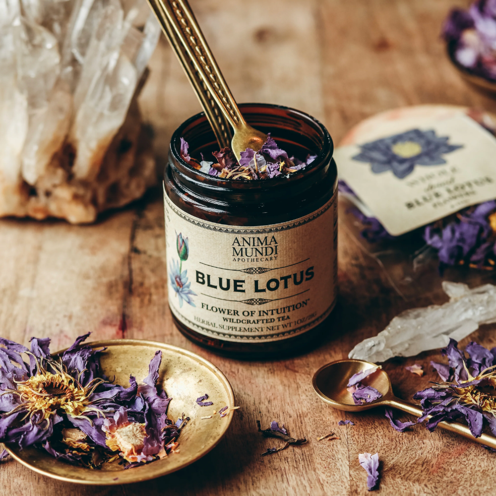 blue lotus tea