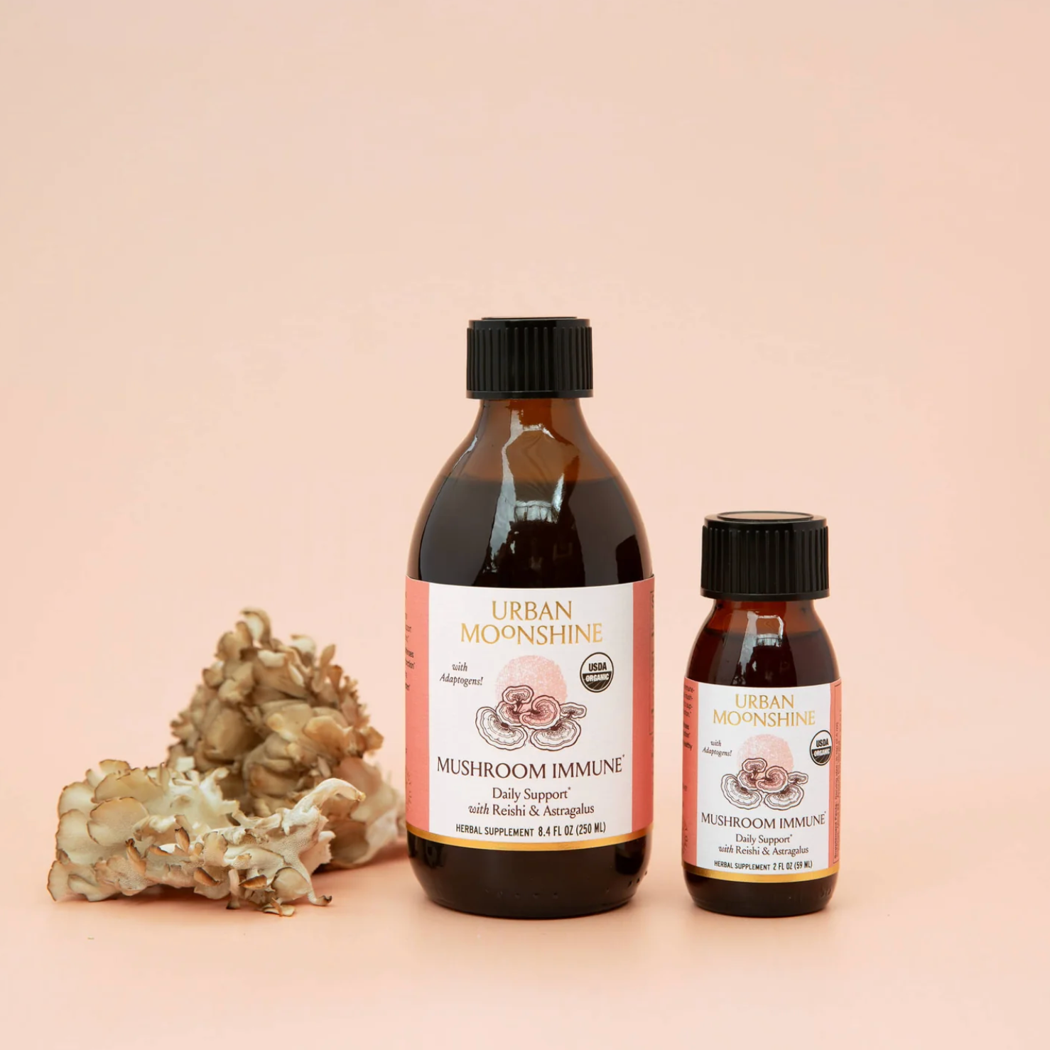 mushroom immune tonic