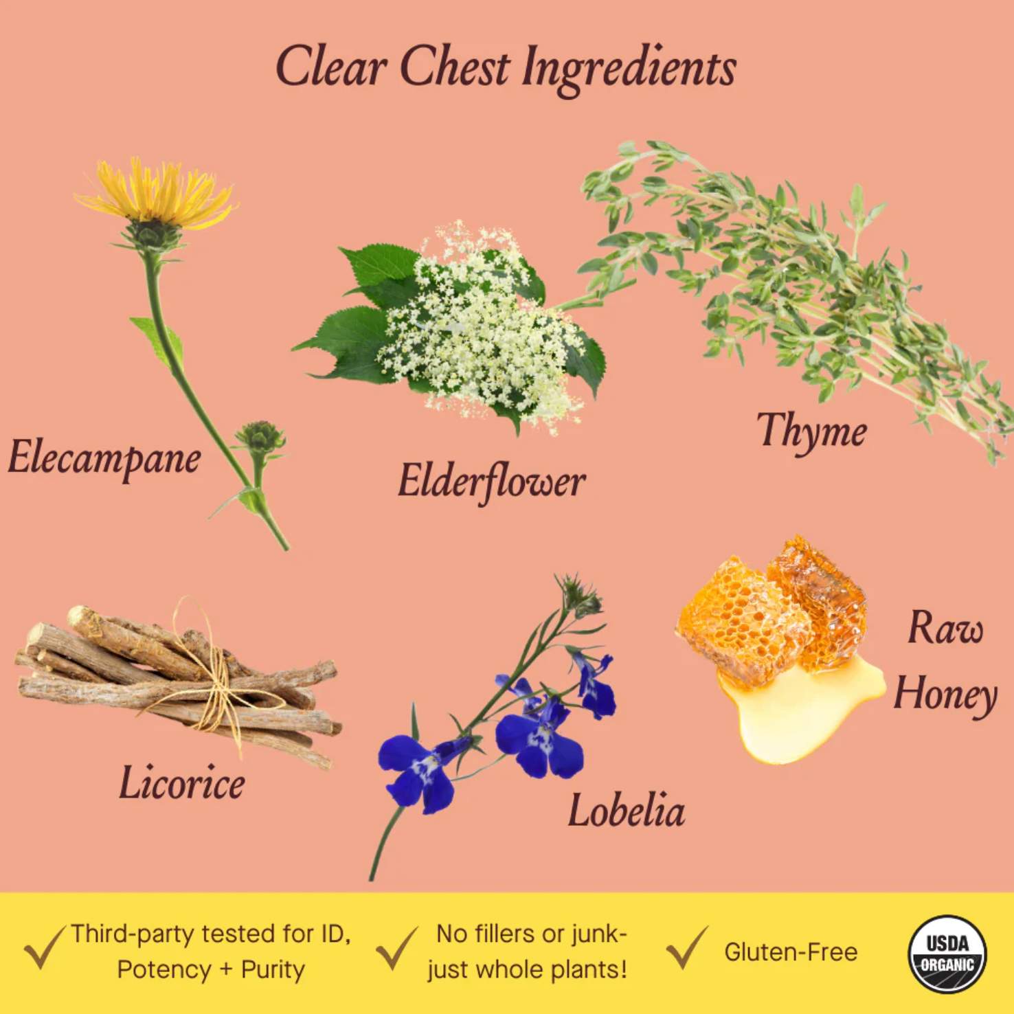 clear chest syrup