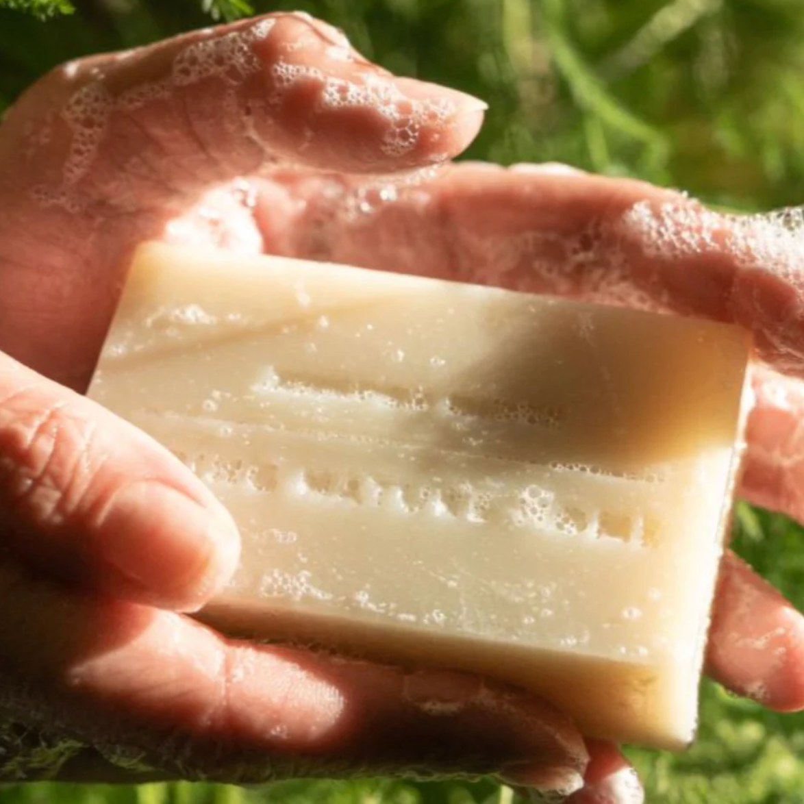 redwood mist bar soap