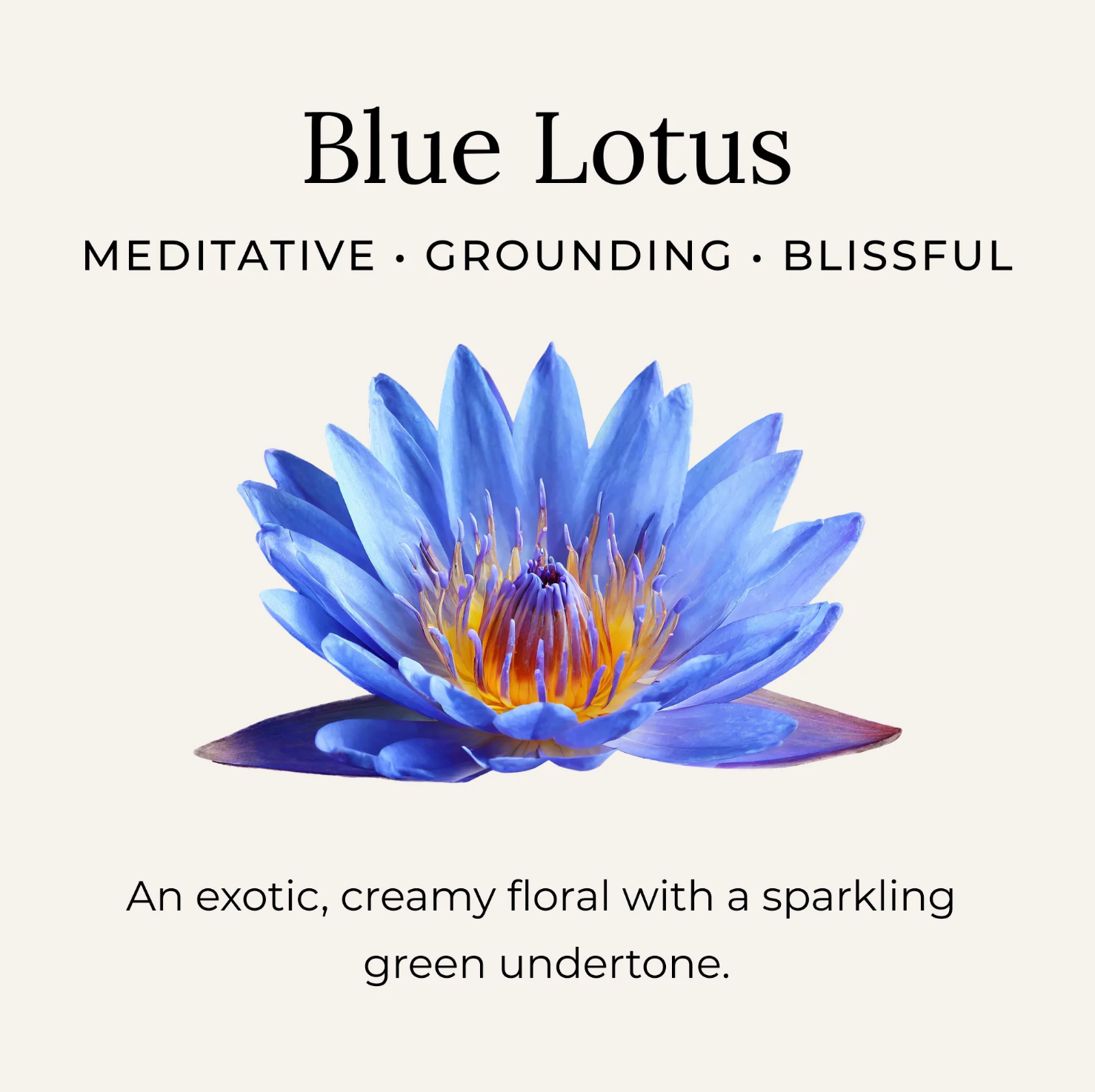 blue lotus deodorant cream