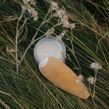 rosemary patchouli deodorant cream