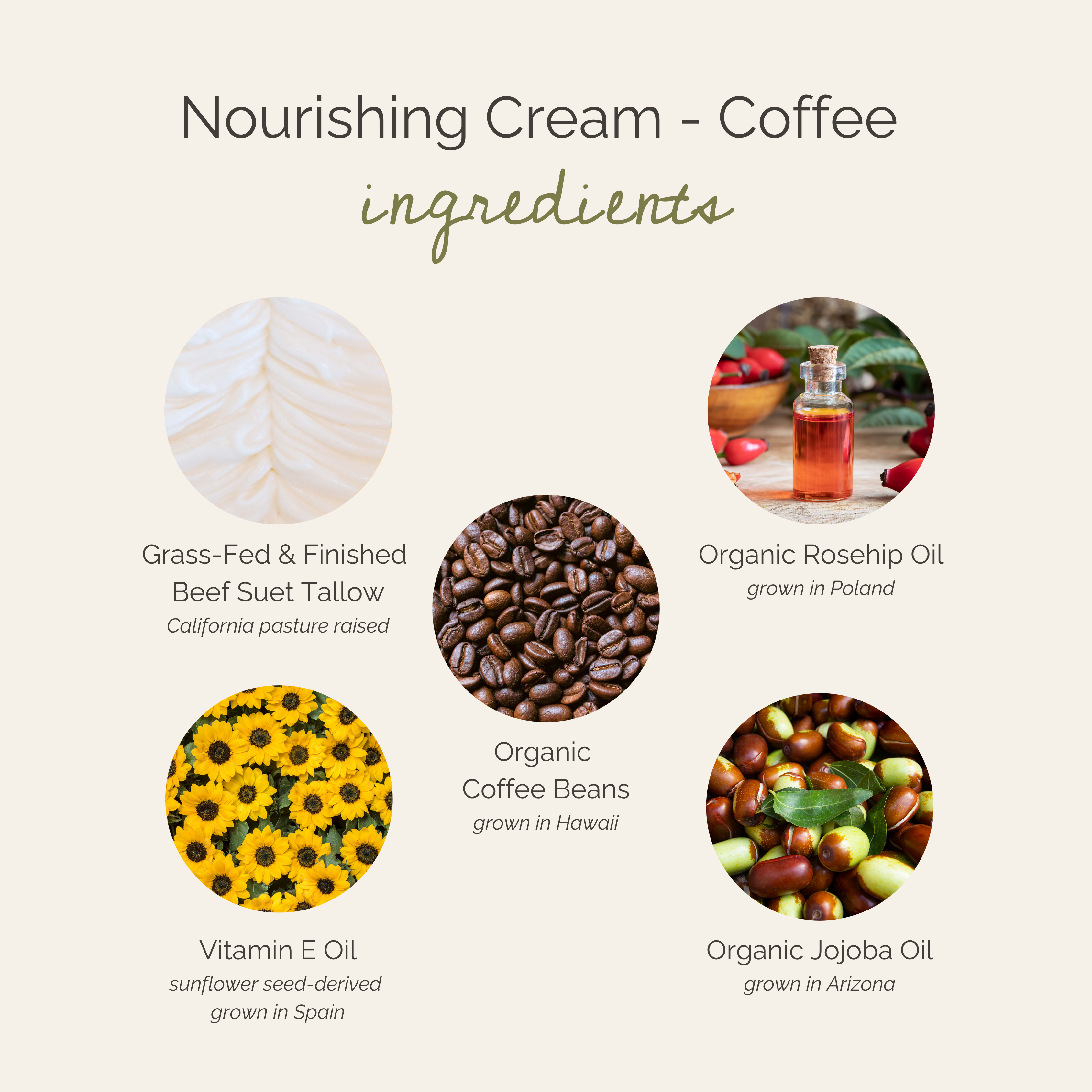 nourishing coffee tallow cream